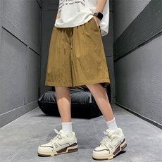 沙丘褐