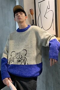 秋冬季 港风小老虎针织衫 外穿套头毛衣羊毛衫外套男 M24-P70图片