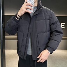 2025冬季店主风立领时尚潮流羽绒服轻熟男士外套YR28602-P185，男装羽绒服，电商A413