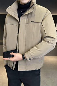 50白鸭绒大货男装羽绒服保暖冬季外套C317-Y5898-P205图片