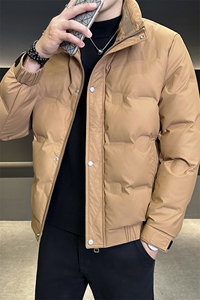 2025数据男士冬季羽绒服立领百搭鸭绒保暖青年夹克外套图片