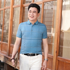 商务休闲男装夏季新款短袖T恤polo衫中年翻领薄款半袖体恤男上装，男装Polo衫，电商B212（原钱塘6029）