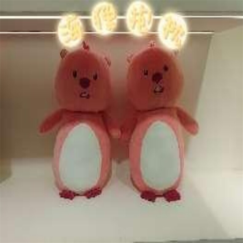 海狸抱枕，鑫泰毛绒玩具厂