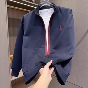 春秋季潮流刺绣立领开衫卫衣男士高级感时尚百搭宽松休闲长袖外套图片