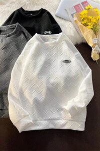 C华夫格卫衣男春秋季新款潮牌立体圆领宽松休闲外套  W2346-P28图片