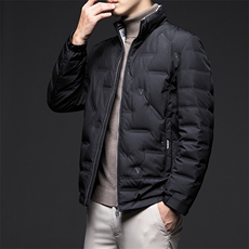 VD8228钱塘2020-2秋冬新款男士潮流时尚立领羽绒服外套货稳P218，男装羽绒服，钱塘207-2