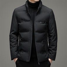 21冬季新款潮流立领棉服时尚商务休闲纯色棉衣男装ZELD9713-P130，男装棉衣，电商B212（原钱塘6029）