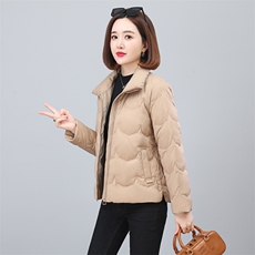 2023年冬季气质立领时尚休闲羽绒服，女装羽绒服，依恋蒂丝