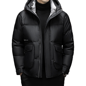 羽绒服男士2023新款中年连帽商务休闲上衣冬季加厚保暖外套男装图片