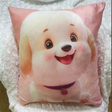 方形抱枕（带内胆）坐垫