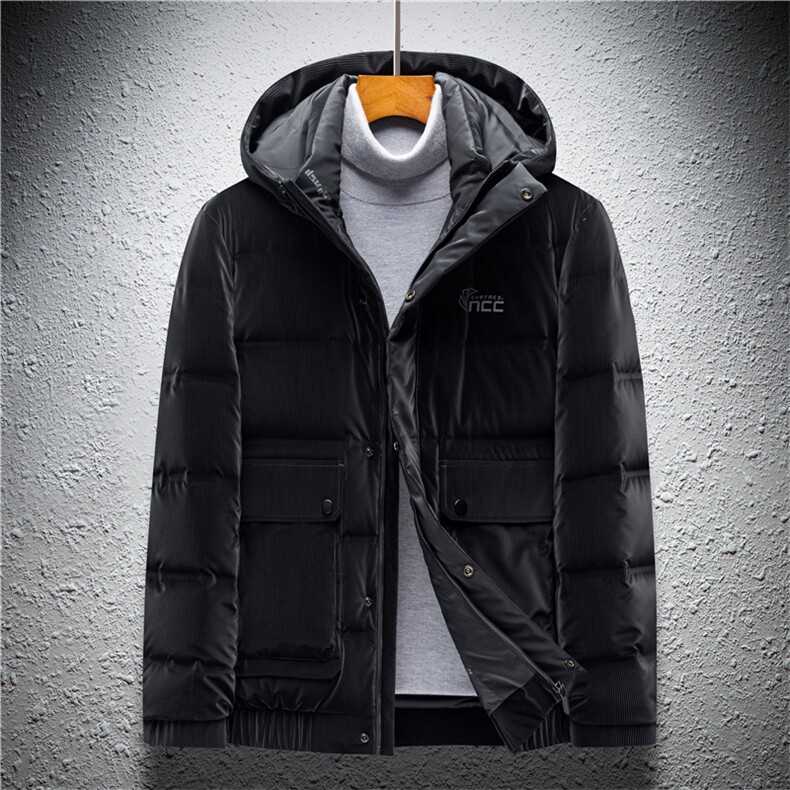 22冬季中青年男士时尚休闲90白鸭绒连帽羽绒服外套AJY82138-P275,男装羽绒服,电商B212（原钱塘6029）