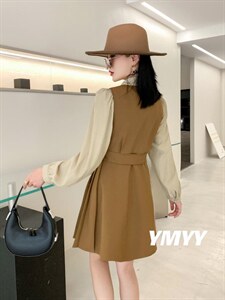 现货秋装新款衬衣连衣裙两件套图片
