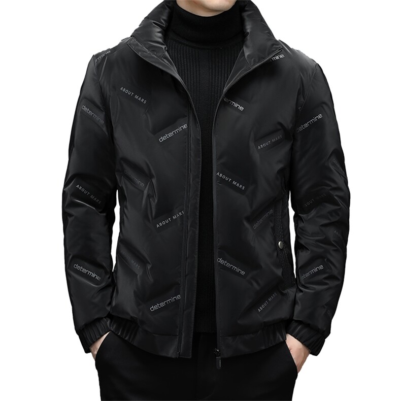 羽绒服中青年男冬季中年男士爸爸2023冬装外套上衣DFLDY2020-P230，男装羽绒服，电商B212（原钱塘6029）