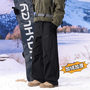 加绒加厚滑雪裤三防单板双板休闲裤重磅裤子A014-DY25558-特P60,豹纹衬衣怎么搭配什么外套图片