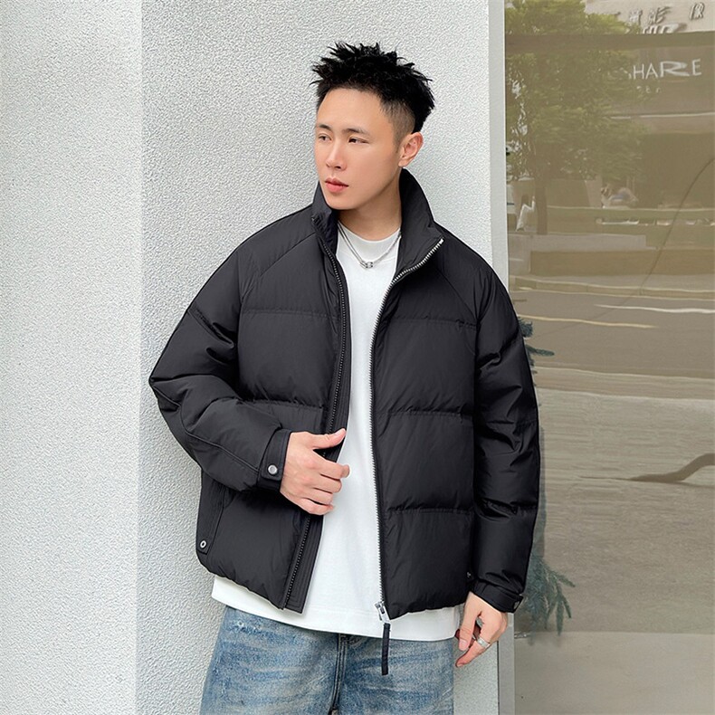 2025冬季标90绒立领白鸭绒羽绒服大码跑量款301-p270,男装羽绒服,星座223（原229-2）