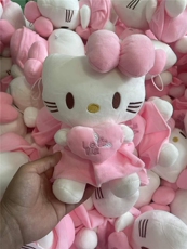 新款KT猫毛绒玩具抱心公仔猫咪布娃娃抱枕哈喽玩偶娃娃机生日礼物
