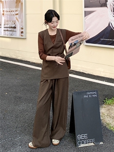 高级轻熟风穿搭咖色马甲套装女2025春秋超火好看阔腿裤气质三件套图片