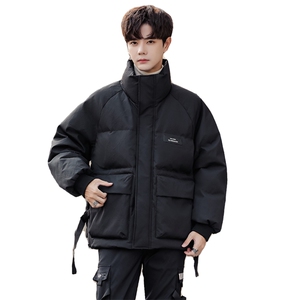 2025新款男士高品质90白鸭绒宽松立领加厚休闲羽绒服 S121/P325图片