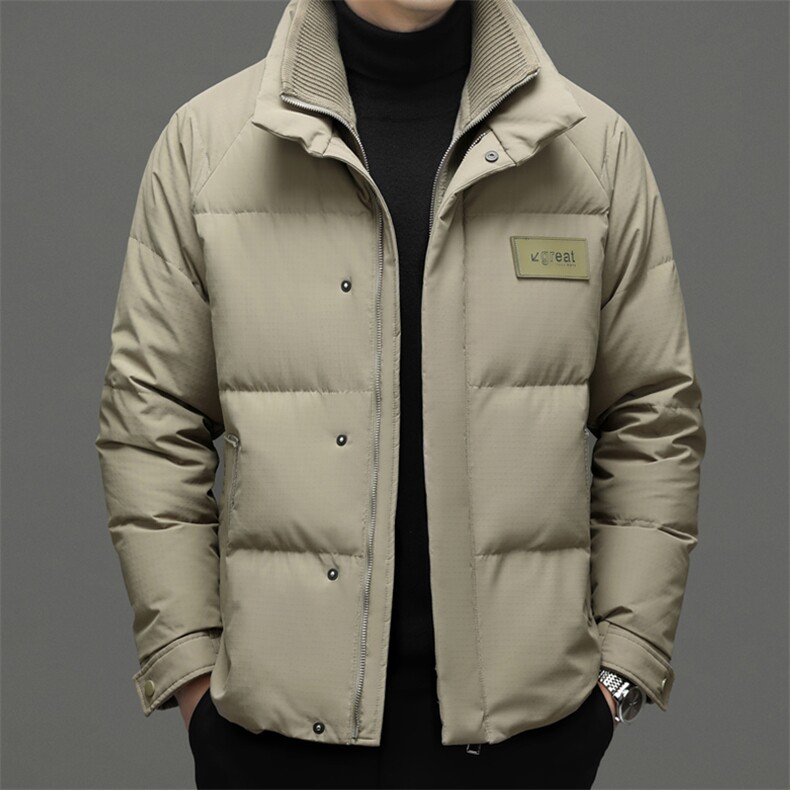 DF8203钱塘2020-2冬季厚款立领时尚休闲简约中年男士羽绒服P350,男装羽绒服,钱塘207-2