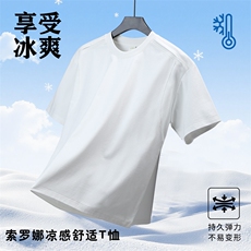 凉感拉链圆领结构拼接宽松T恤260克40支双纱313B-S22#-P33，男装T恤，星座313B