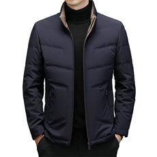 C91709钱塘2020-2时尚商务休闲翻领简约中年男士羽绒服P260，男装羽绒服，钱塘207-2