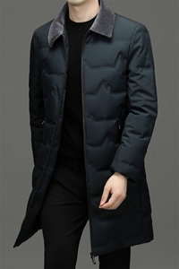 BF22967钱塘2020-2中年男士中长款羽绒服休闲百搭翻领外套P250图片