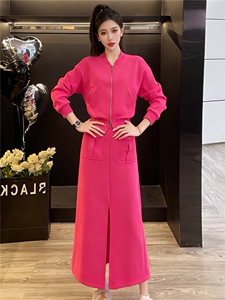 高级感时尚运动套装女秋季新款拉链开衫卫衣前开叉半身裙两件套潮图片