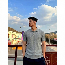 [网图]麻花短袖针织polo衫男夏修身复古T恤翻领X61400-TP48不，男装T恤，电商A102