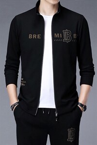 运动套装男春秋季2023新款长袖开衫中年休闲运动服宽松卫衣两件套图片