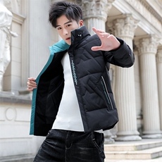 2020冬季韩版立领棉衣男潮流刺绣休闲青年短款棉服8887，男装棉衣，A067