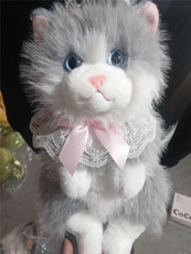 布偶猫咪