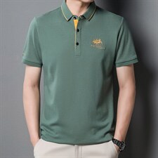短袖T恤男夏季新款翻领商务中年男士POLO保罗衫休闲时尚男装半袖，男装T恤，电商B212（原钱塘6029）