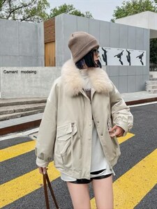 冬装上新图片