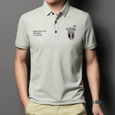 新款短袖T恤男夏季爸爸装polo衫丝光棉男士中年休闲无痕半袖体恤，男装T恤，电商B212（原钱塘6029）