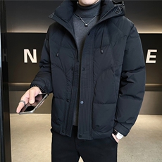 标50绒加厚款羽绒服男冬季2025新款连帽外套A313-66060-P235，男装羽绒服，电商A313