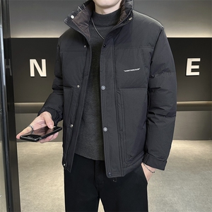 店主风 2025年新款时尚立领潮流保暖羽绒服男A236-G93-P185图片