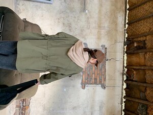 休闲风衣外套图片
