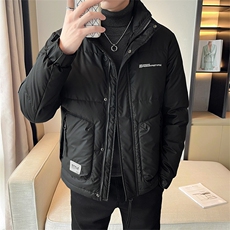 2025冬季店主风新款立领简约休闲羽绒服保暖外套男YR8106-P175，男装羽绒服，电商A413