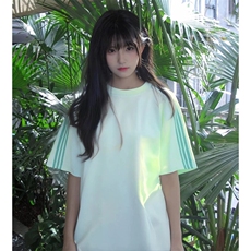 抖音得物品质二开240克宽松纯棉美式潮牌印花三条杠中性风短袖T恤，男装T恤，电商A486-1