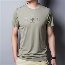 主题男装正品2024夏季男士印花短袖T恤韩版潮流时尚休闲男装P45，男装T恤，钱塘6003A(原)4033A