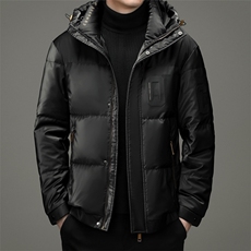 冬季新款中青年连帽羽绒服爸爸装休闲外套上衣DFLDY10005-P260，男装羽绒服，电商B212（原钱塘6029）
