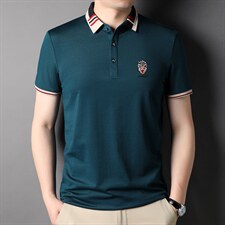 2023夏季新款中年男装时尚休闲潮流翻领百搭宽松短袖T恤男士上衣，男装T恤，电商B212（原钱塘6029）