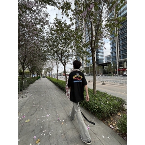 【档口现货260g】DX408HH-P35 美式高街字母刺绣短袖T恤男女夏季图片