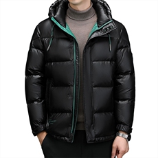 羽绒服男士中年2024冬季新款加厚保暖连帽上衣休闲面包服外套男装，男装羽绒服，电商B212（原钱塘6029）