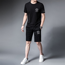 2023夏季新款短袖T恤半袖短裤休闲运动套装中老年运动服两件套，男装T恤，电商B212（原钱塘6029）