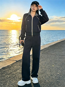 韩版休闲运动套装秋季新款女时尚减龄纯色立领卫衣直筒长裤两件套图片