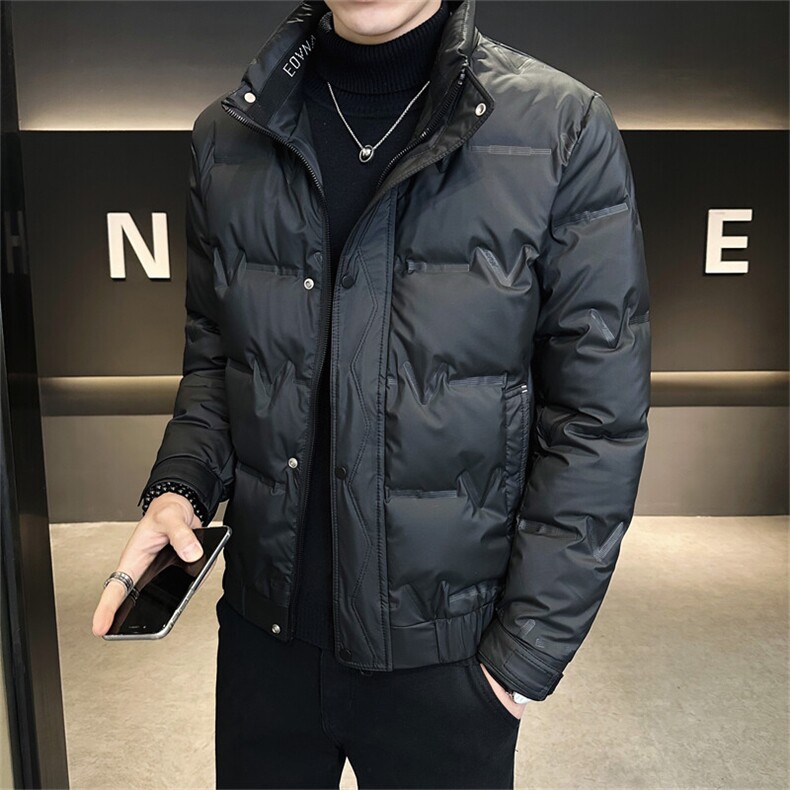 标三防面料冬季男士立领简约时尚潮流帅气百搭鸭绒保暖外套图片