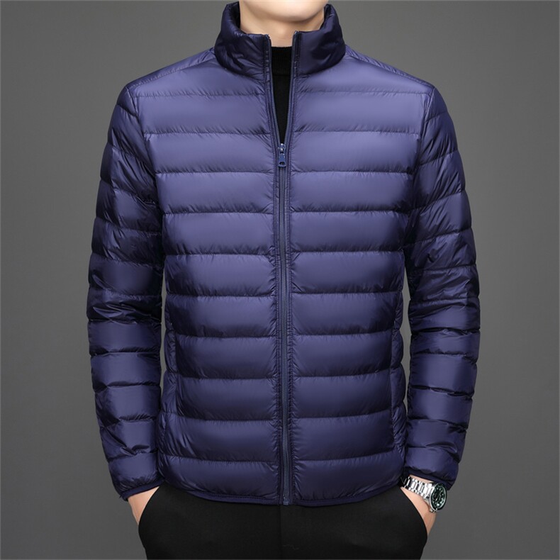 达标50绒轻薄羽绒服外套男立领冬季中青年男士休闲百搭YR911-P70图片