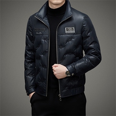 DJ22129钱塘2020-3冬季厚款时尚休闲简约立领中年男士羽绒服P350，男装羽绒服，钱塘207-3