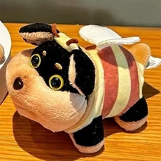 黑黄